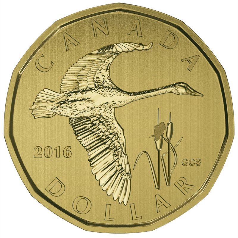2016 Canadian Specimen 6 Coin Collector Set Ft 1 Tundra Swan Loonie 2016-canadian-specimen-6-coin-collector-set-ft-1-tundra-swan-loonie
